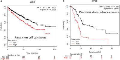 Emerging Role of Lymphocyte Antigen-6 Family of Genes in Cancer and Immune Cells